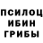 Галлюциногенные грибы GOLDEN TEACHER Feleorit