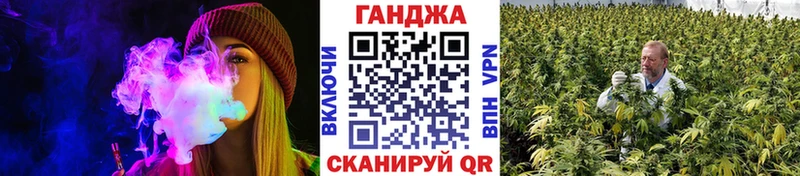Конопля гибрид  Ужур 